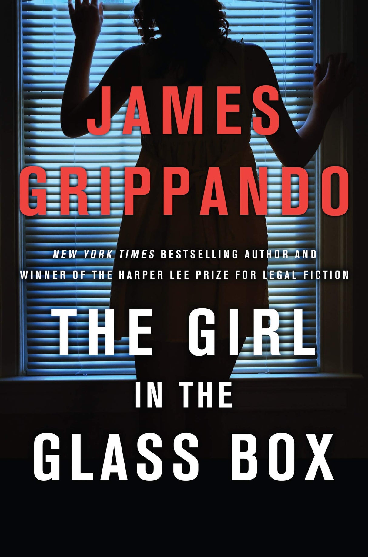 The Girl in the Glass Box: A Jack Swyteck Novel (Jack Swyteck Novel, 15) - Retail Maharaj