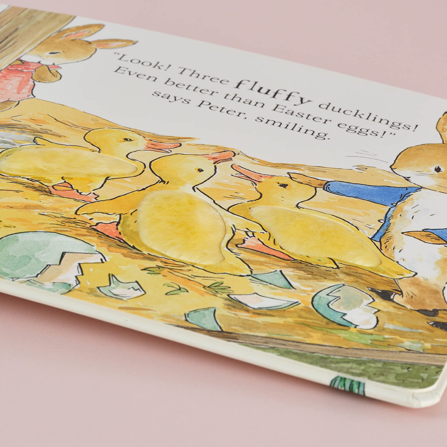 Peter Rabbit A Fluffy Easter Tale - Retail Maharaj
