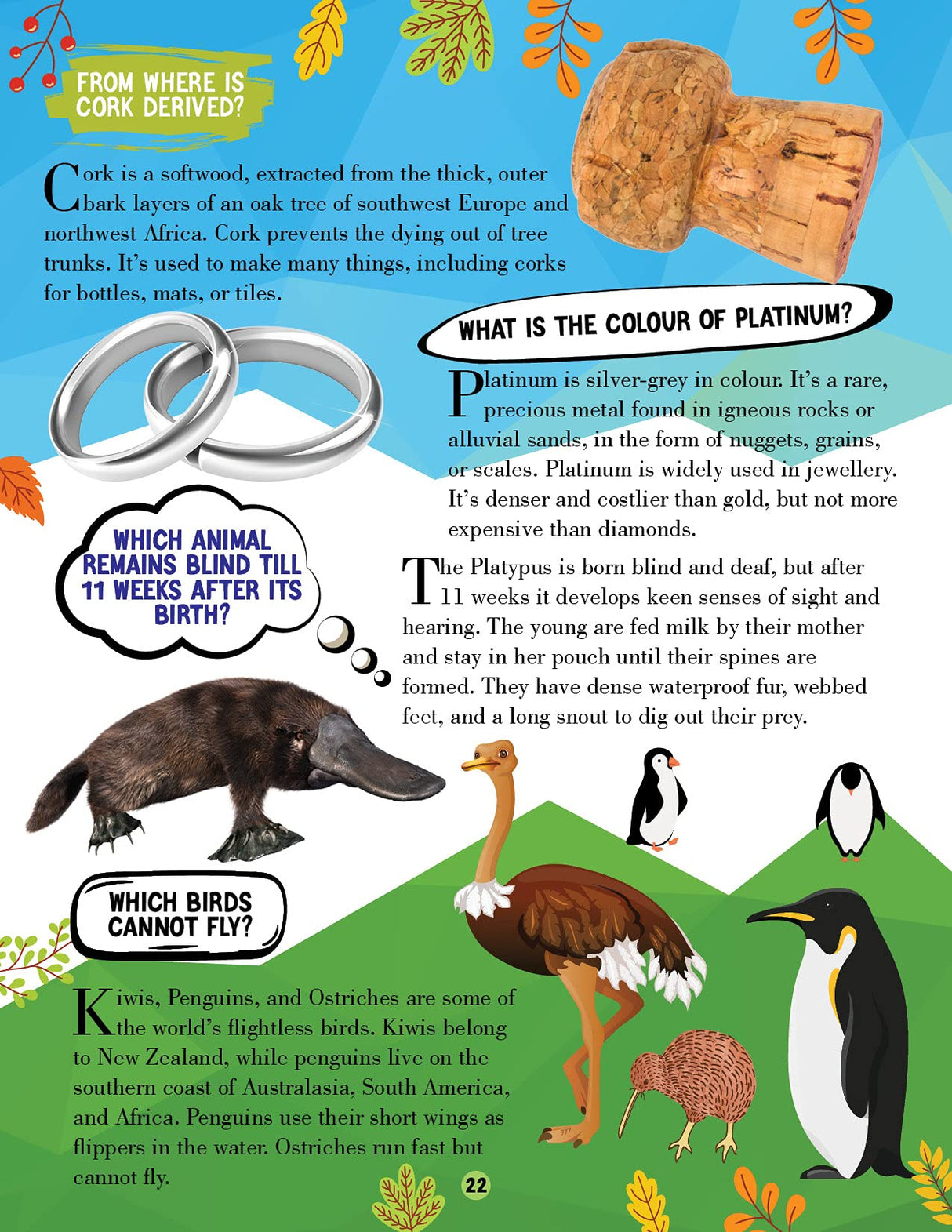 Nature Encyclopedia for Children Age 5 - 15 Years- All About Trivia Questions and Answers - Retail Maharaj