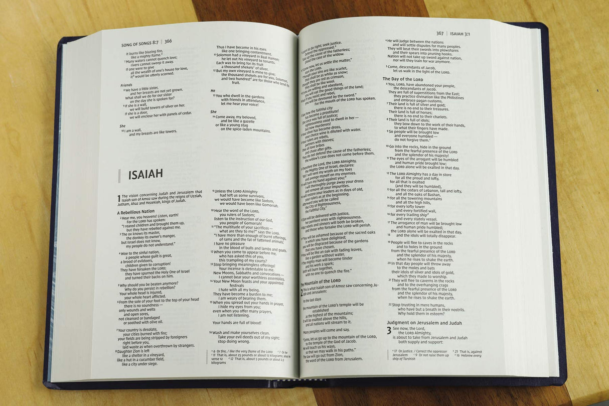 Niv, Gift And Award Bible, Leather-Look, Blue, Red Letter Edition, Comfort Print - Retail Maharaj