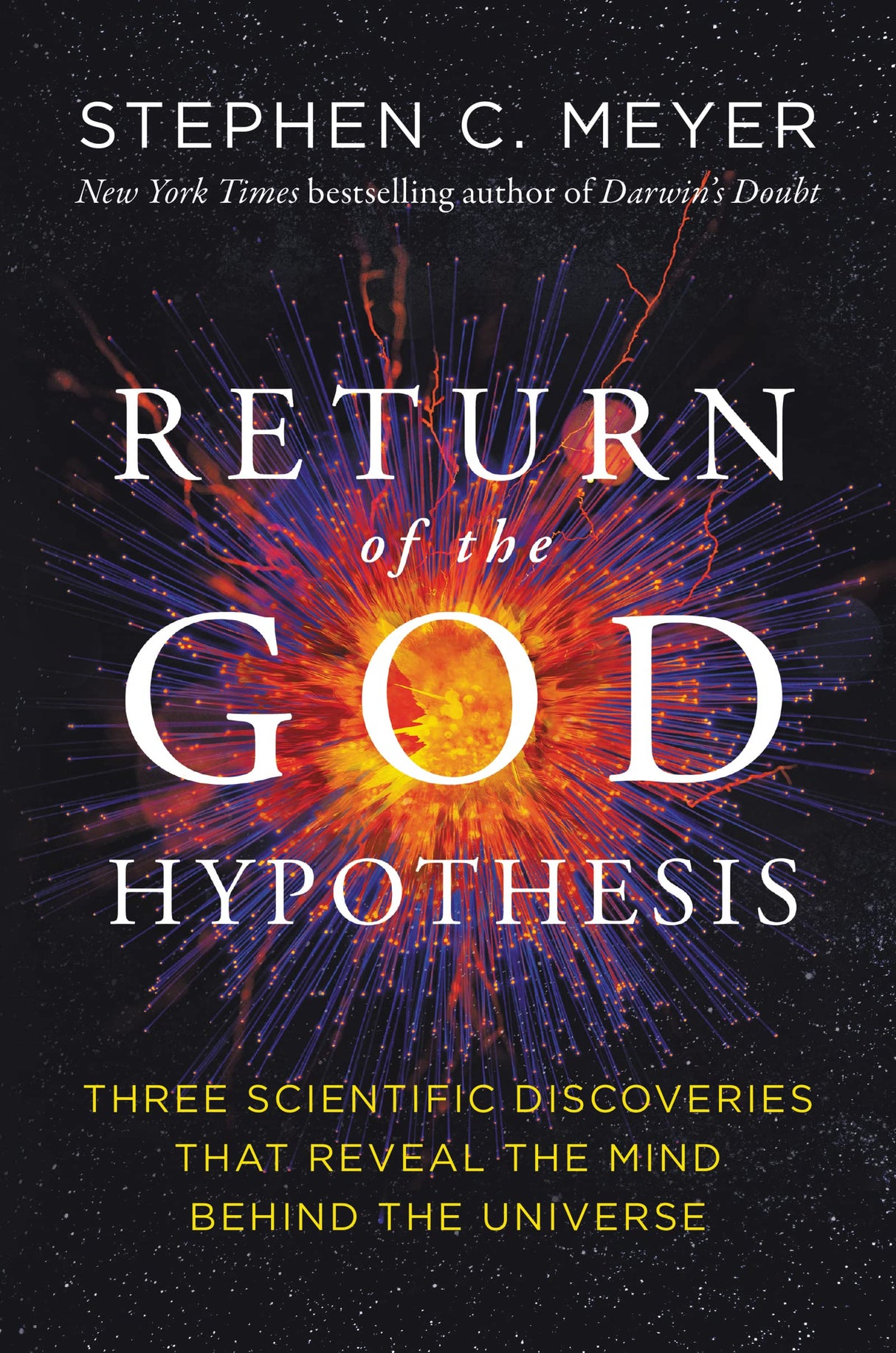 Return of the God Hypothesis - Retail Maharaj