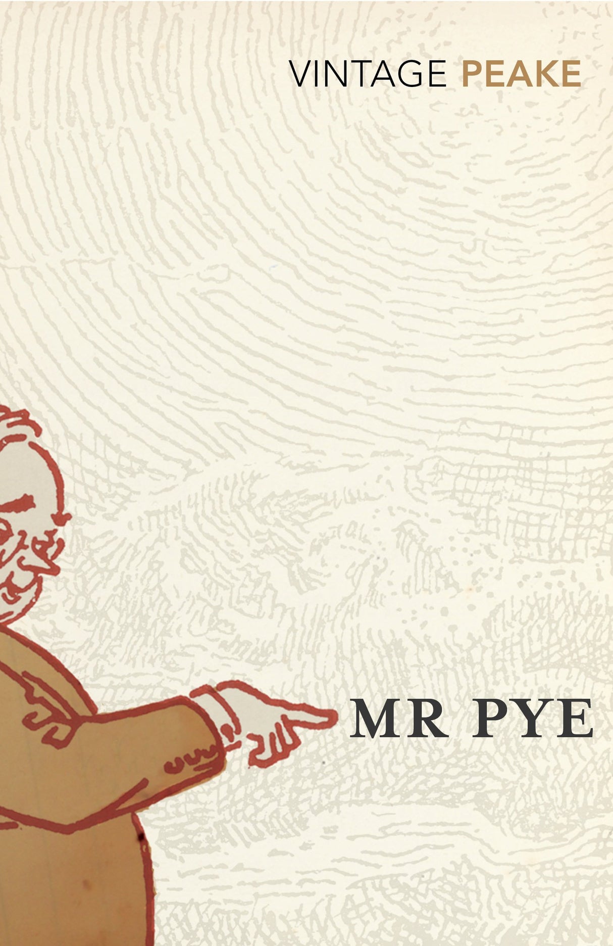 Mr Pye - Retail Maharaj