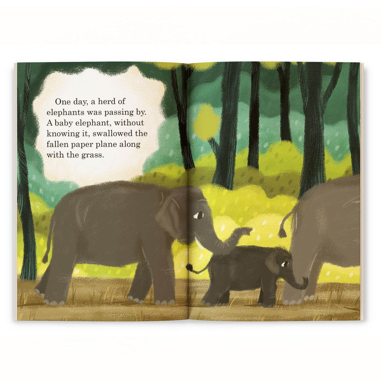 The Paper Plane Flew (Hook Books): A Story of the Exciting Adventures of a Paper Plane | Ages 5+ - Retail Maharaj