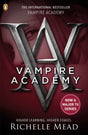 Vampire Academy (1) : bk 1 - Retail Maharaj