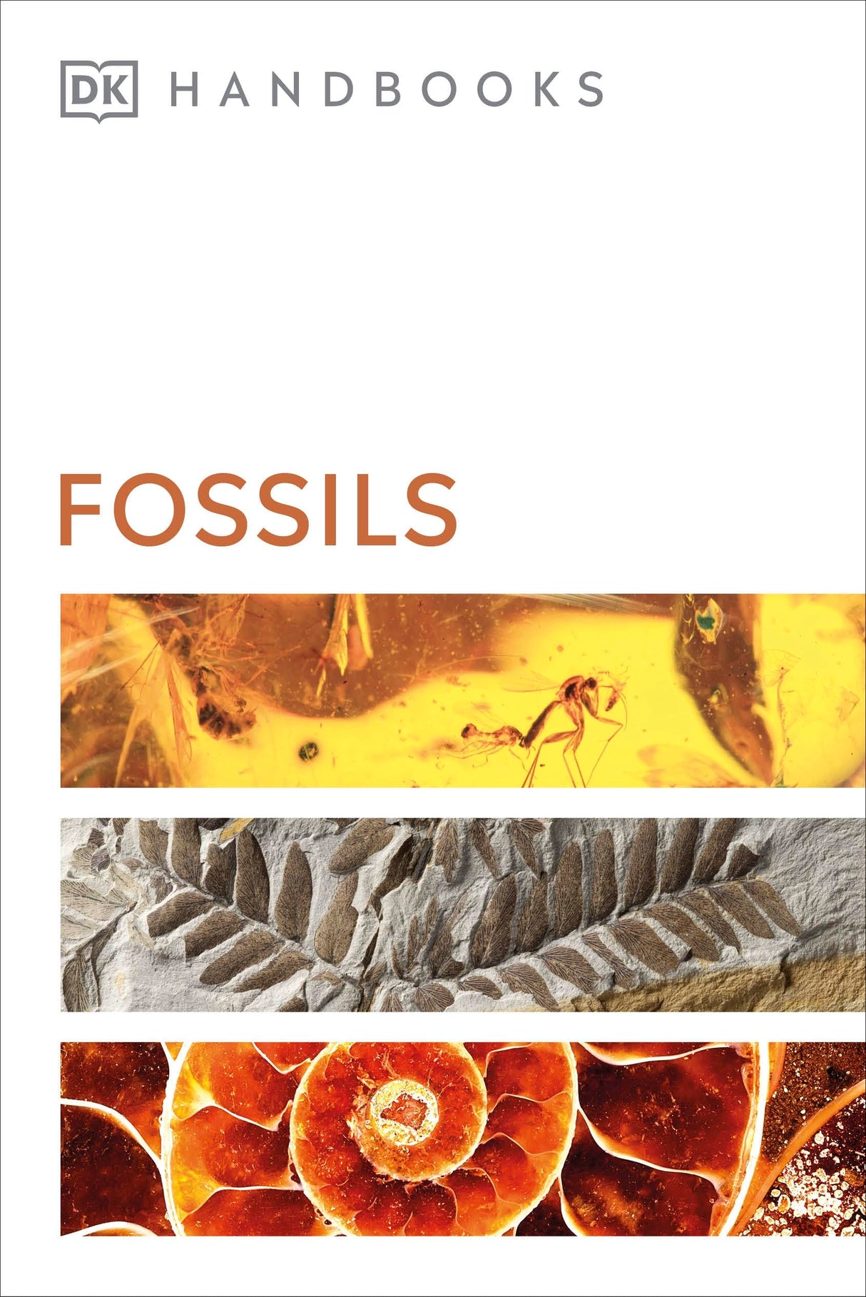 Fossils (DK Handbooks) - Retail Maharaj