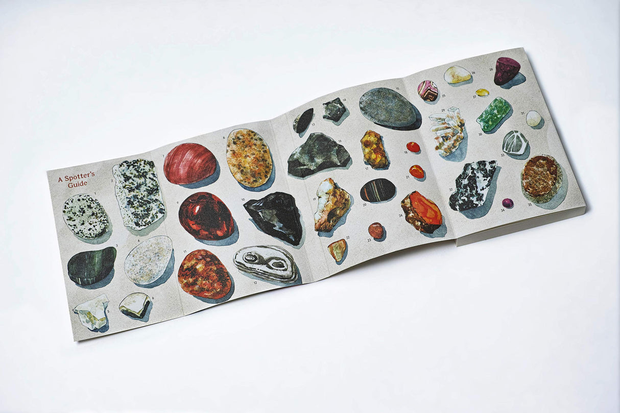 The Pebbles on the Beach