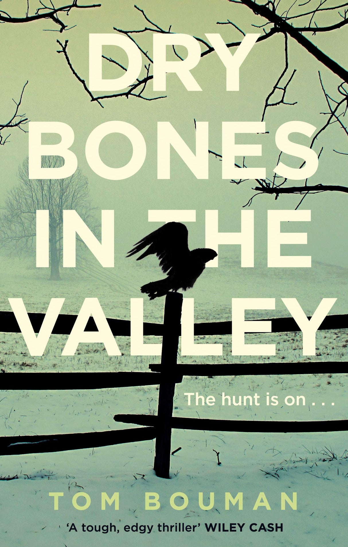 Dry Bones in the Valley