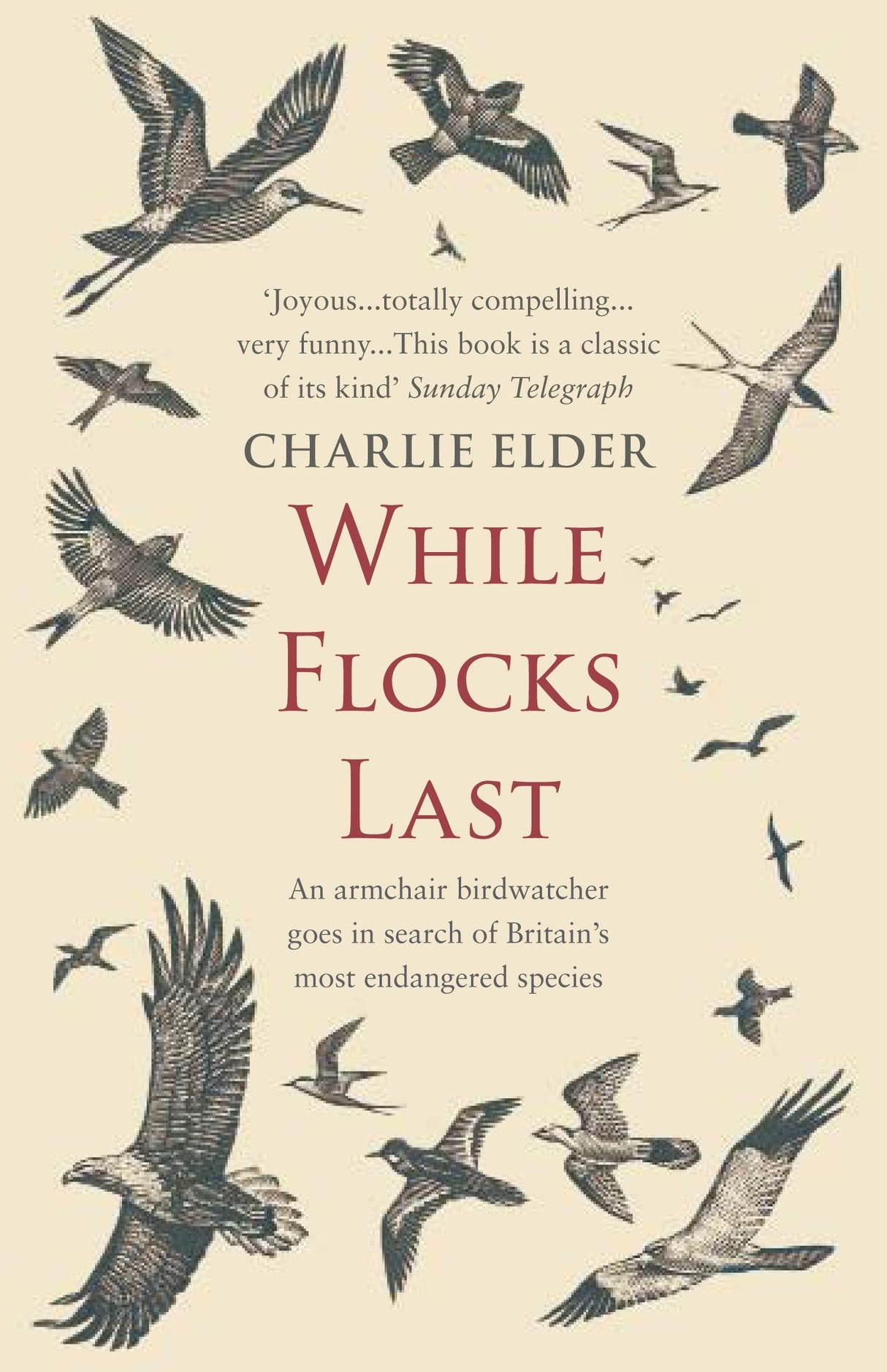 While Flocks Last: An Armchair Birdwatcher Goes in Search of Our Most Endangered Species