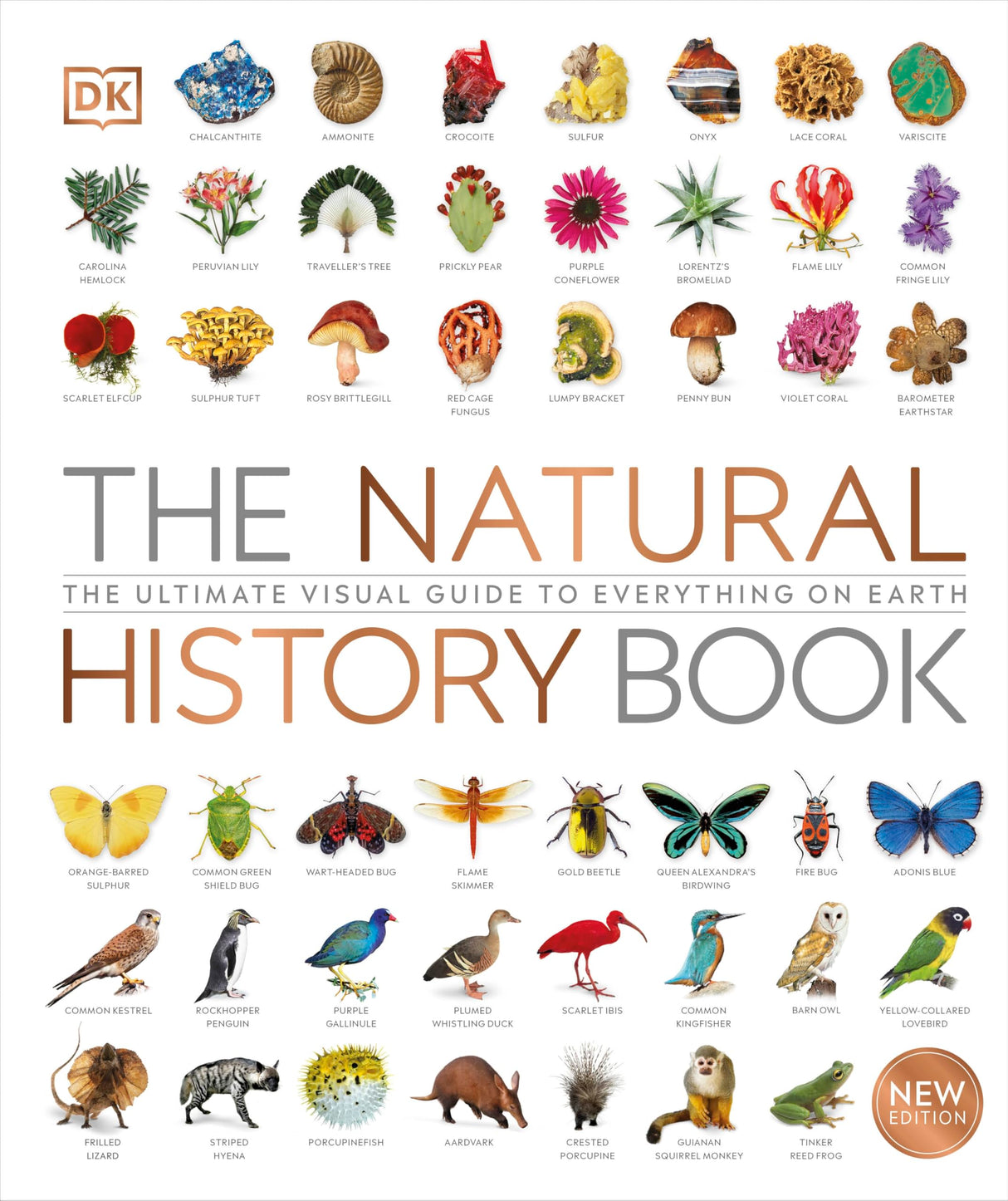 The Natural History Book: The Ultimate Visual Guide to Everything on Earth (DK Definitive Visual Encyclopedias) - Retail Maharaj