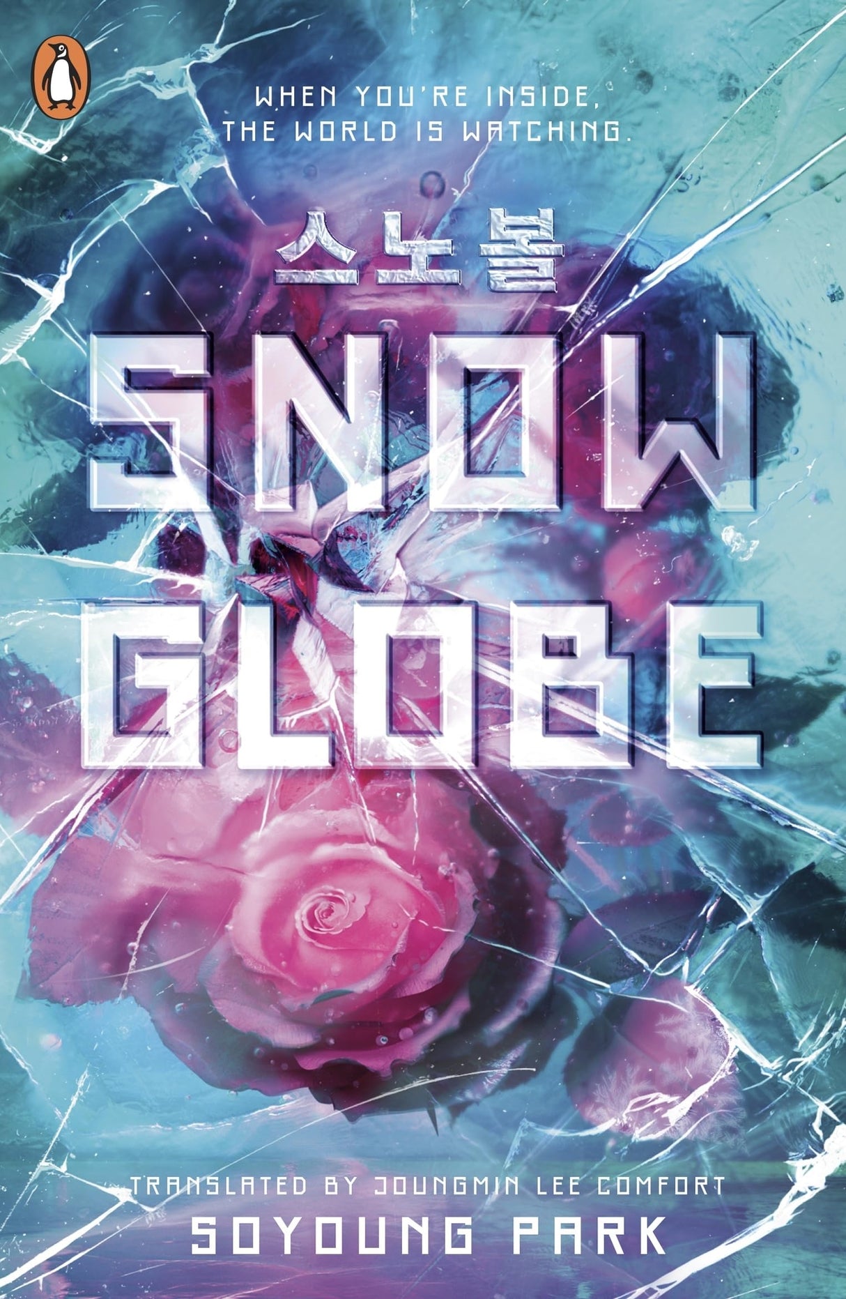 Snowglobe - Retail Maharaj