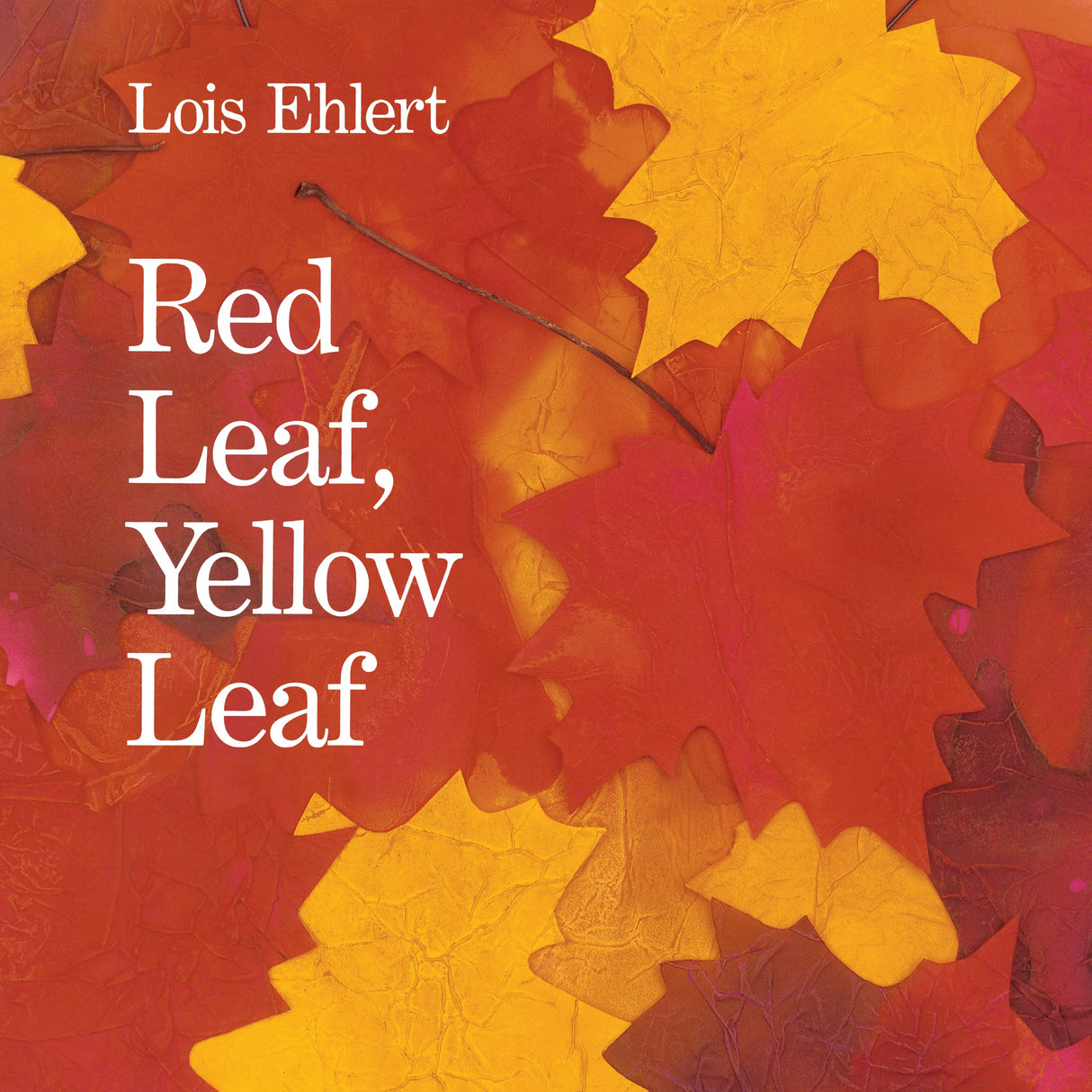 Red Leaf, Yellow Leaf - Retail Maharaj