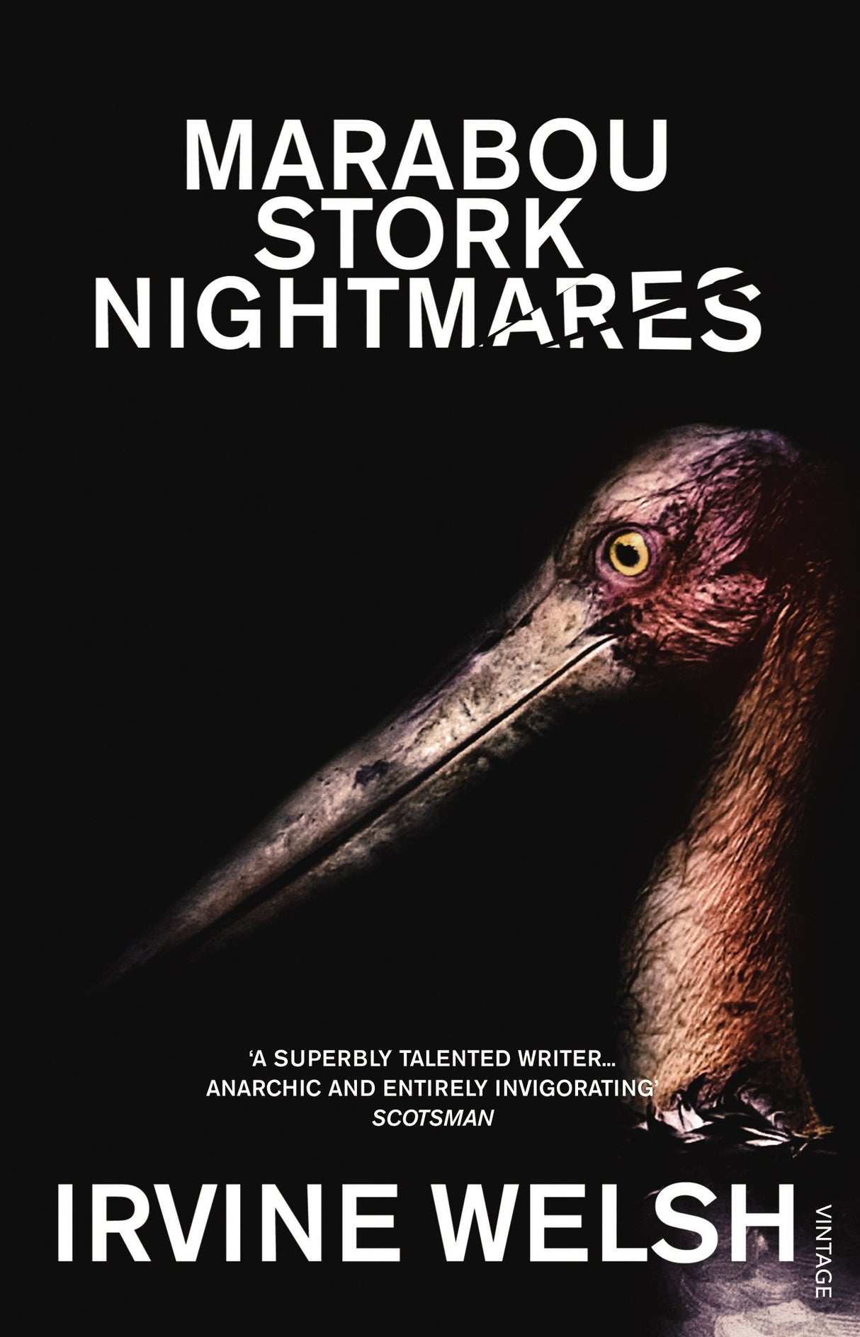 Marabou Stork Nightmares - Retail Maharaj