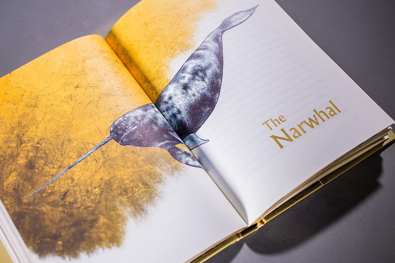 The Golden Mole: and Other Living Treasure: 'A rare and magical book.' Bill Bryson