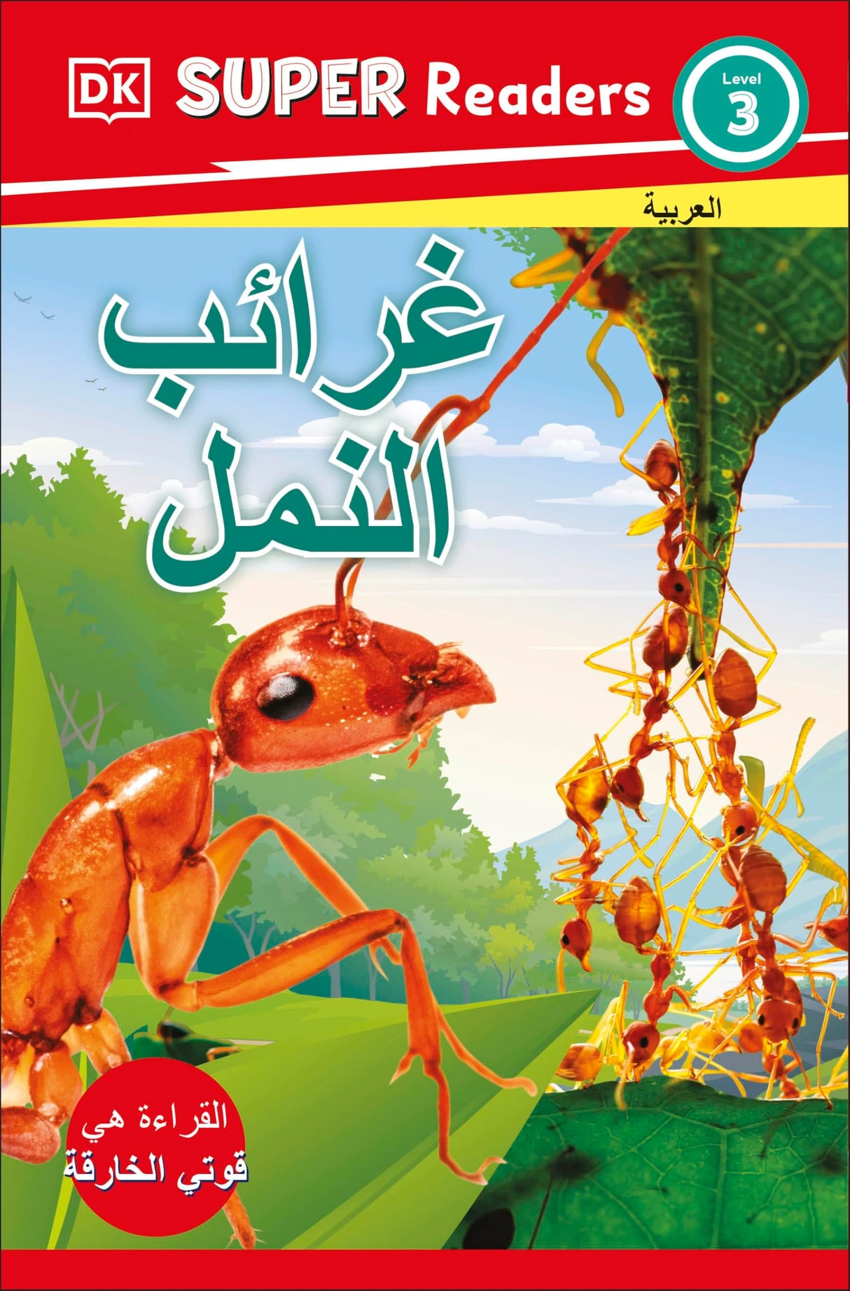 DK Super Readers Level 3 Ant Antics (Arabic translation) - Retail Maharaj