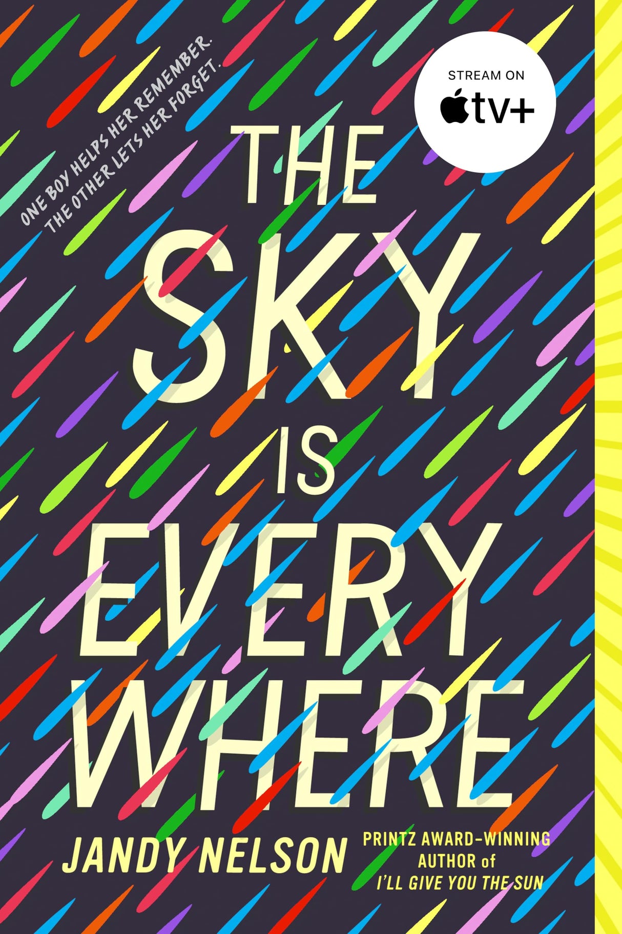The Sky Is Everywhere - Retail Maharaj