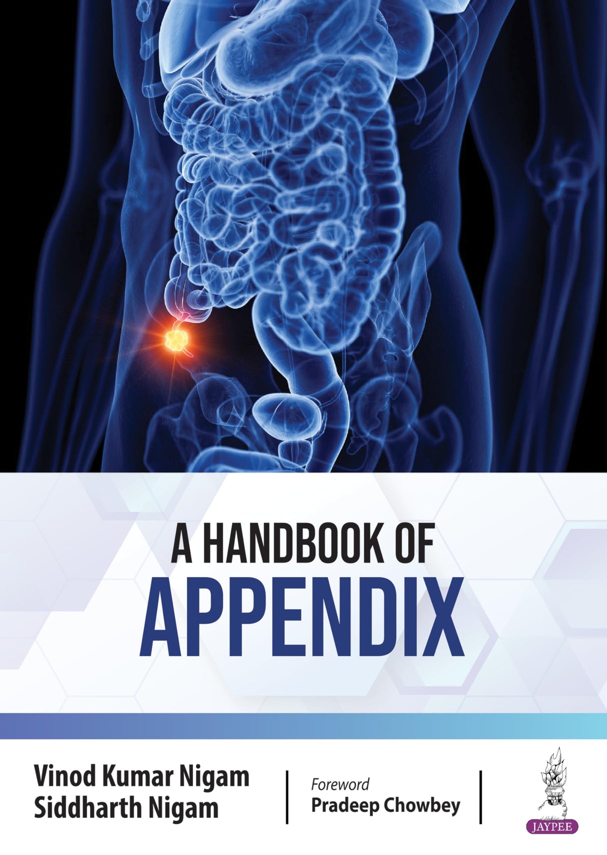 A Handbook of Appendix