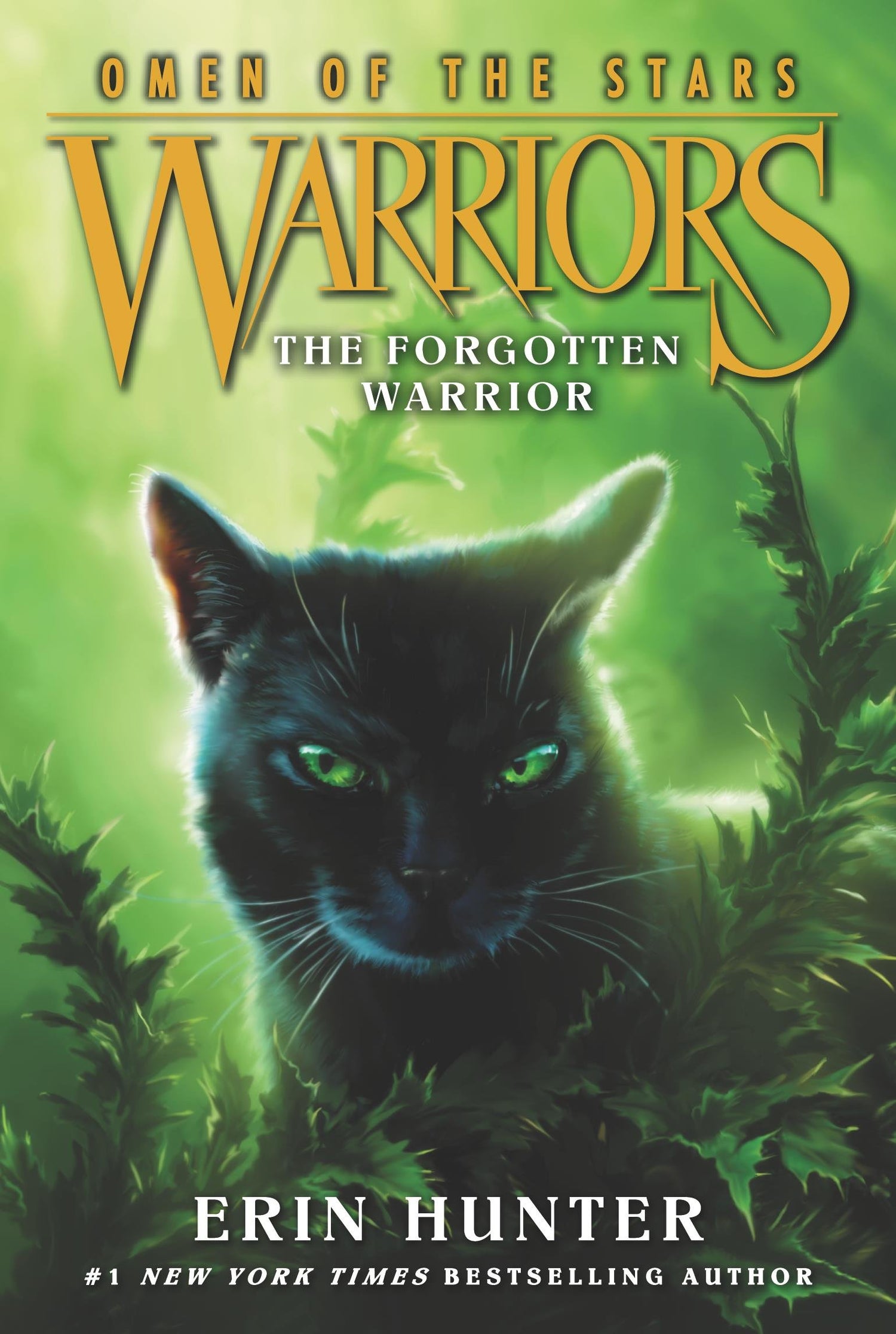 Warriors: Omen of the Stars #5: The Forgotten Warrior - Retail Maharaj