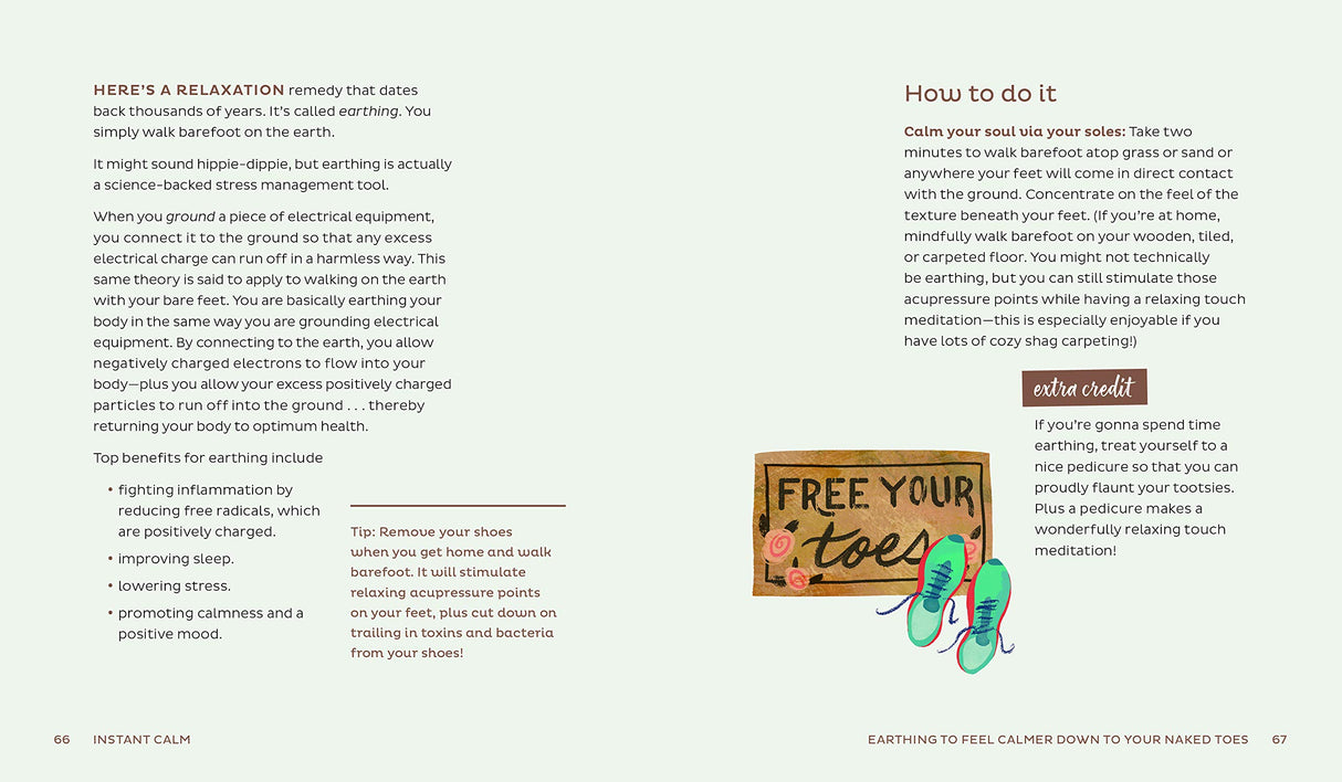 Instant Calm: 2-Minute Meditations to Create a Lifetime of Happy - Retail Maharaj