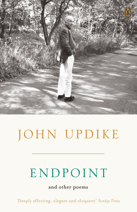 Endpoint and Other Poems - Retail Maharaj