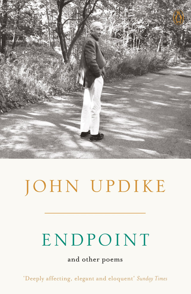 Endpoint and Other Poems - Retail Maharaj
