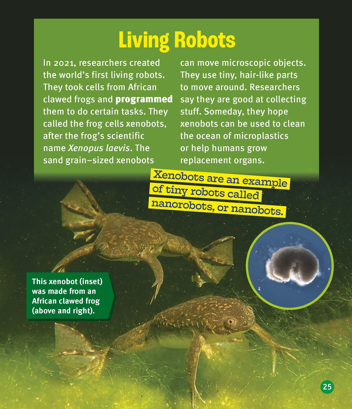 A True Book: Our Digital World: Robots Helping Humans - Retail Maharaj