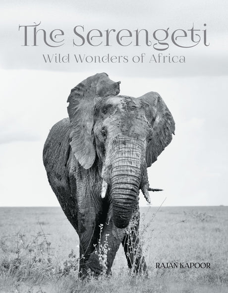The Serengeti: Wild Wonders of Africa - Retail Maharaj