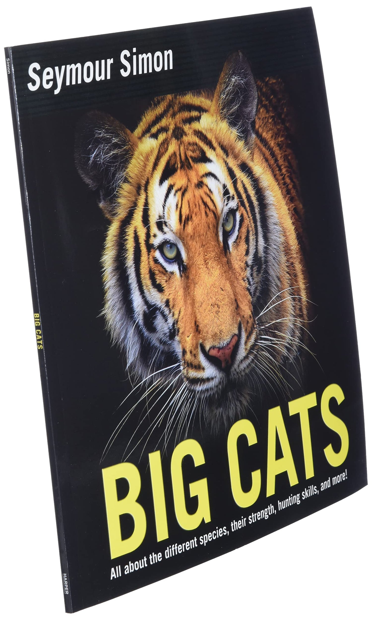 BIG CATS - Retail Maharaj
