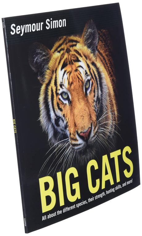 BIG CATS - Retail Maharaj