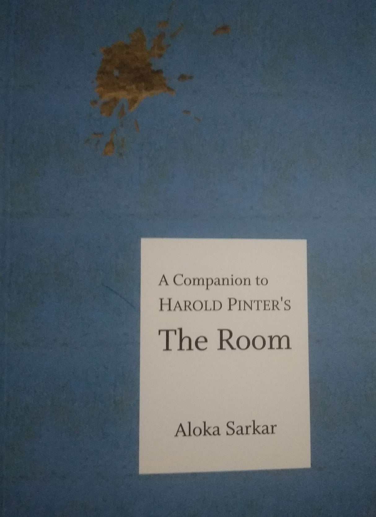 A COMPANION TO HAROLD PINTER'S THE ROOM - Retail Maharaj