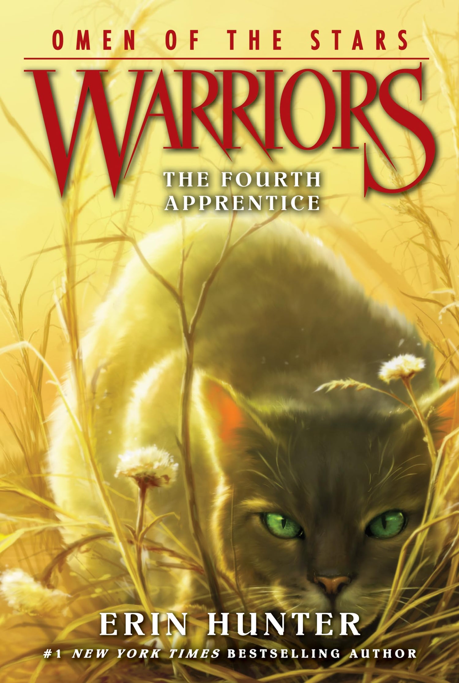 Warriors: Omen of the Stars #1: The Fourth Apprentice - Retail Maharaj