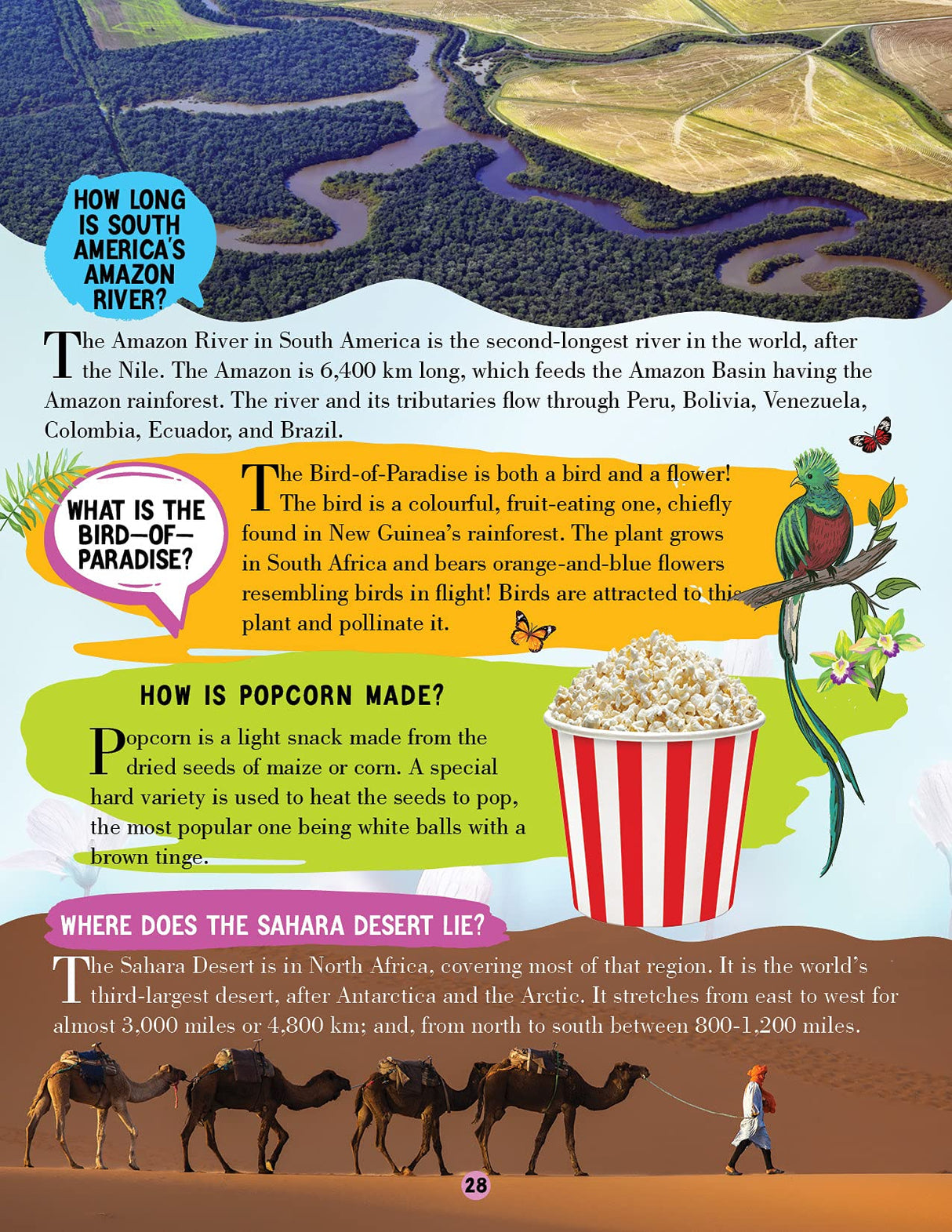 Nature Encyclopedia for Children Age 5 - 15 Years- All About Trivia Questions and Answers - Retail Maharaj