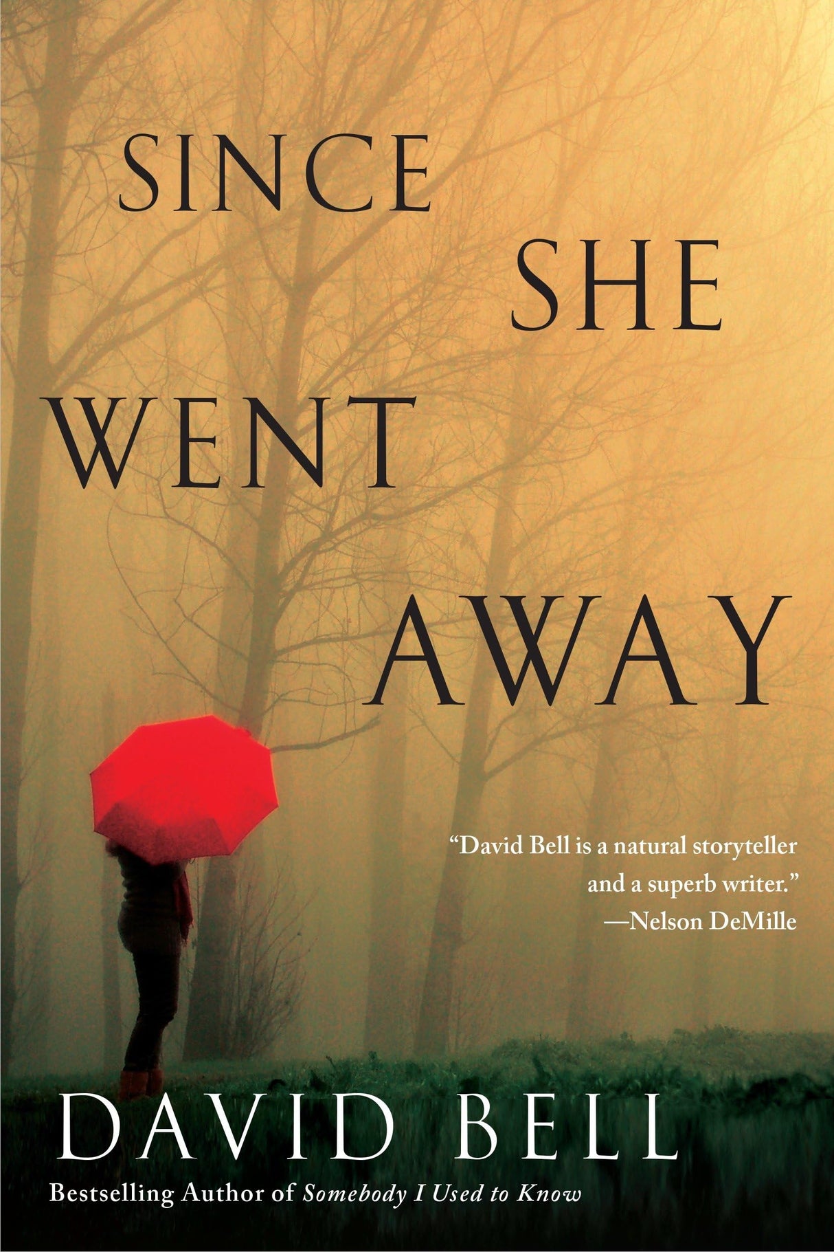 Since She Went Away: A Psychic Eye Mystery