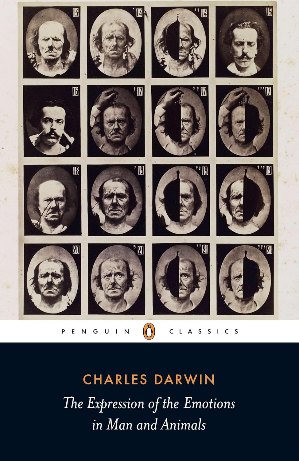 The Expression of the Emotions in Man and Animals (Penguin Classics) - Retail Maharaj