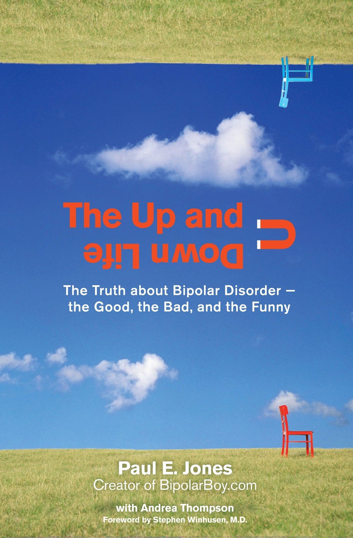 The Up and Down Life: The Truth About Bipolar Disorder--the Good, the Bad, and the Funny - Retail Maharaj
