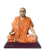 P S M SittingFiber 8'' - Retail Maharaj