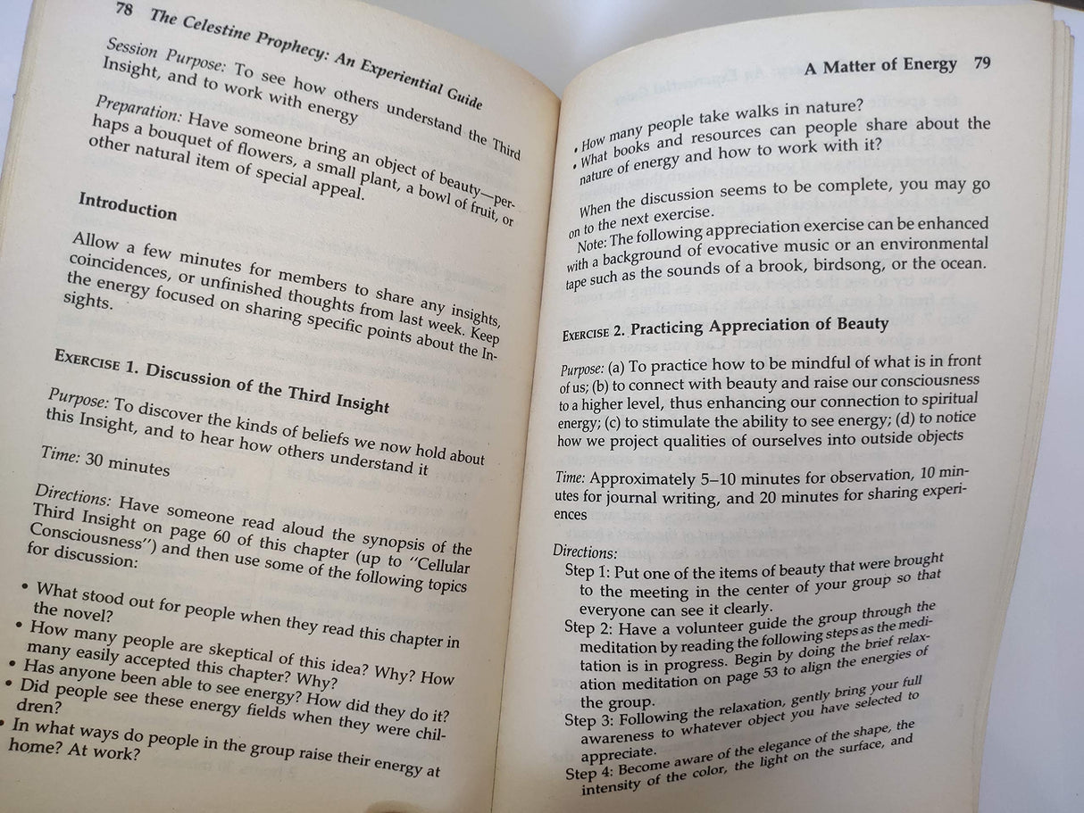 The Celestine Prophecy: An Experiential Guide