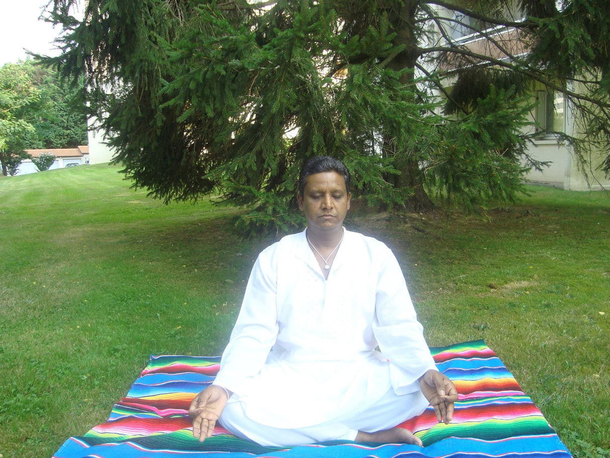 Advanced Pranic Healing By Master Choa Kok Sui (Paperback, Master Choa Kok Sui) - Retail Maharaj