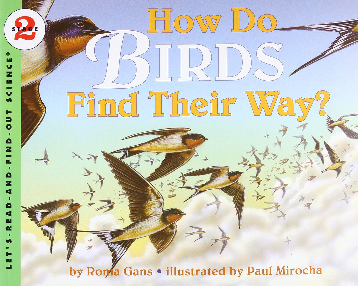 How Do Birds Find Their Way? - Retail Maharaj