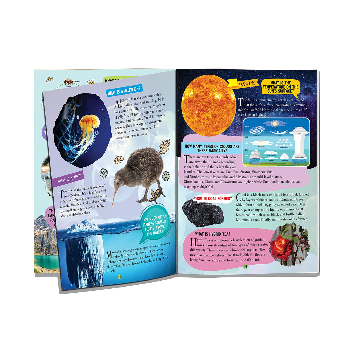 Nature Encyclopedia for Children Age 5 - 15 Years- All About Trivia Questions and Answers - Retail Maharaj