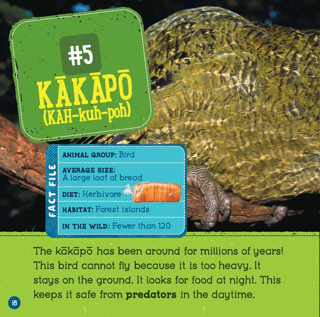 Animals At Risk (Wild World: Top 10) - Retail Maharaj