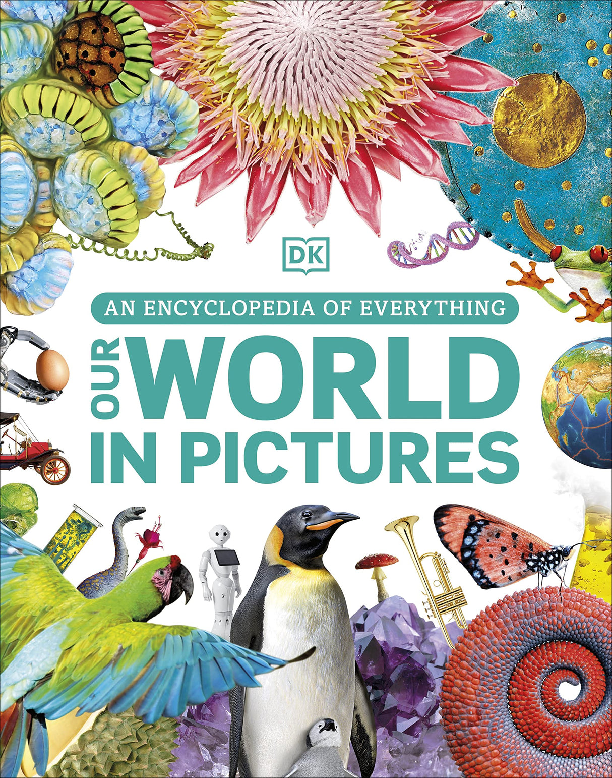 Our World in Pictures: An Encyclopedia of Everything - Retail Maharaj