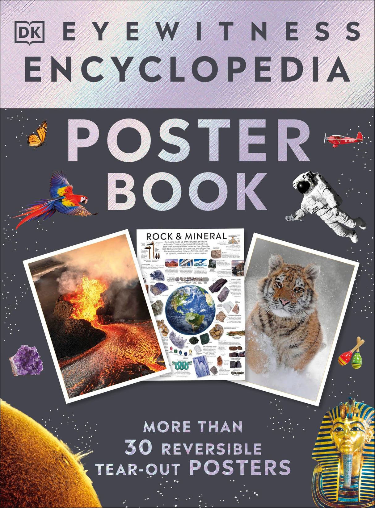 Eyewitness Encyclopedia Poster Book: More Than 30 Reversible Tear-Out Posters (DK Eyewitness) - Retail Maharaj