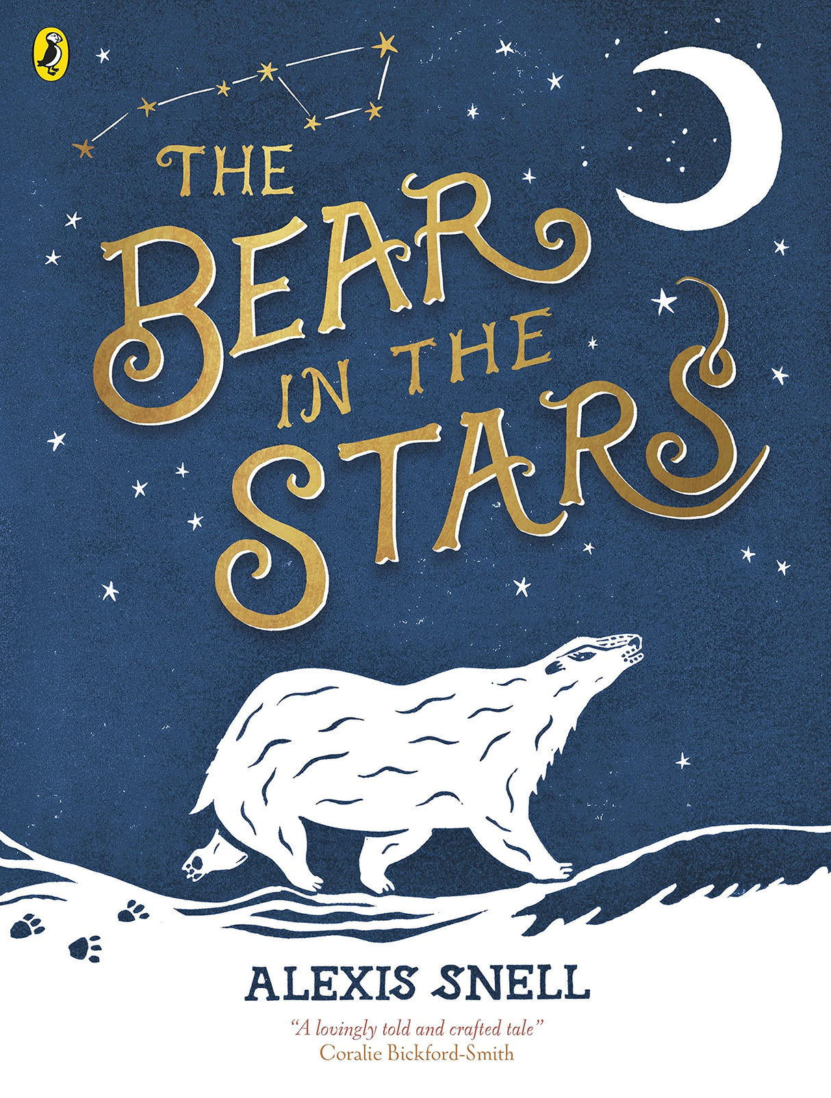 The Bear in the Stars - Retail Maharaj