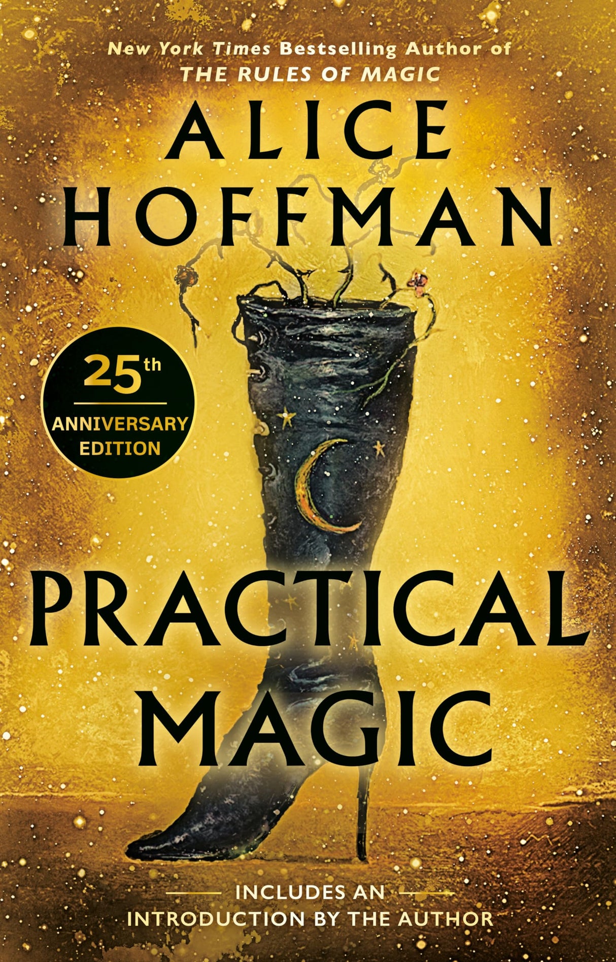 Practical Magic: 25th Anniversary Edition - Retail Maharaj