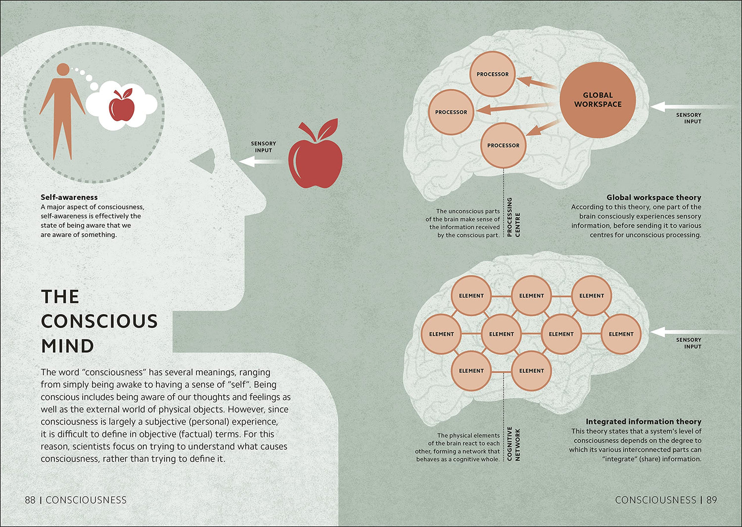 Simply Psychology - Retail Maharaj