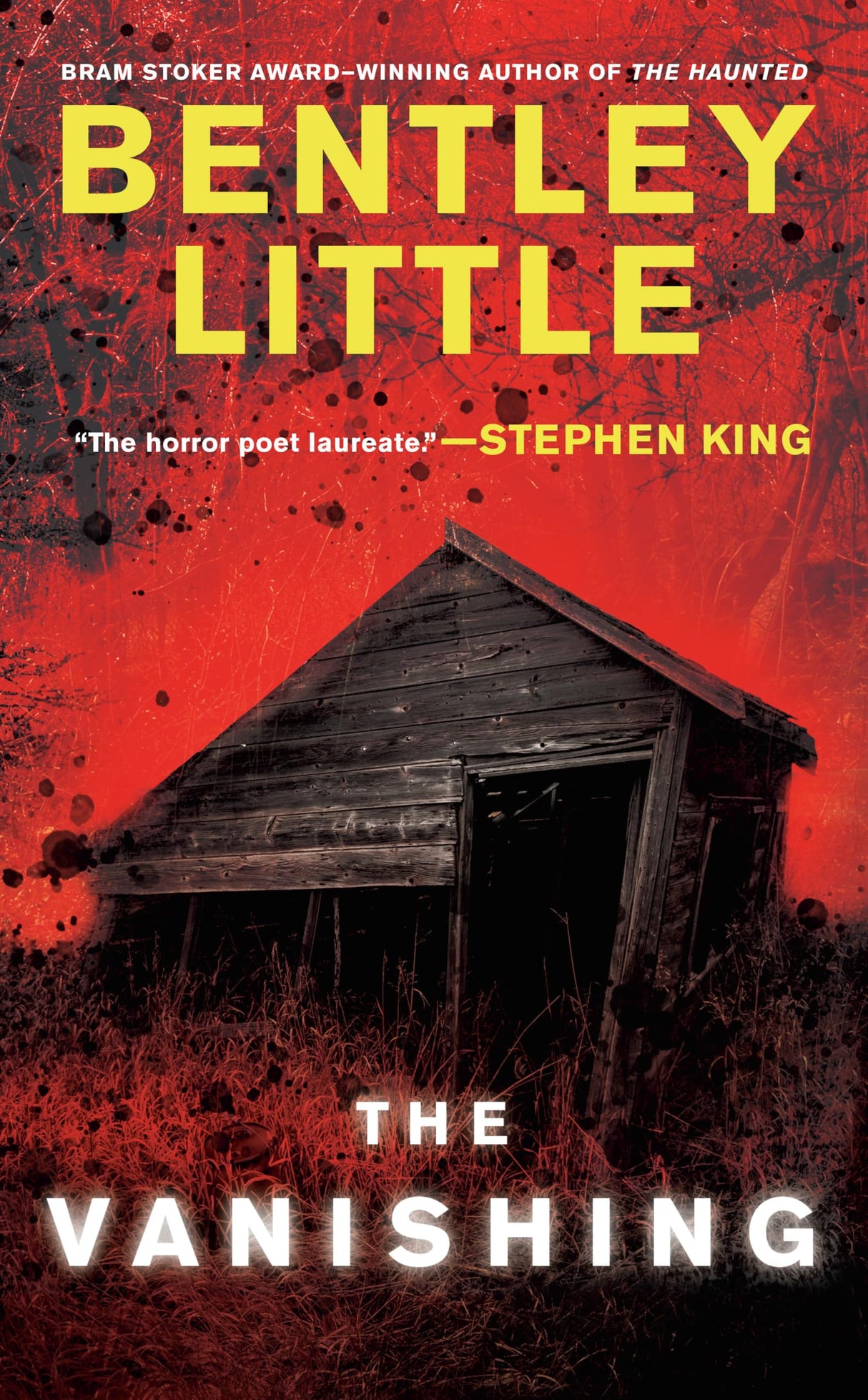 The Vanishing: A Thriller