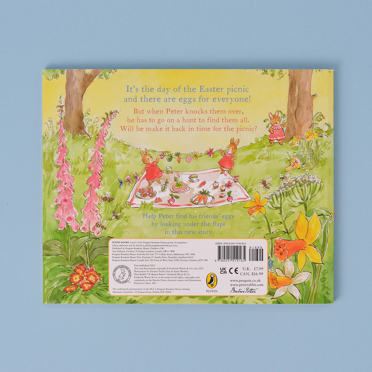 Peter Rabbit Great Big Easter Egg Hunt: A Lift-the-Flap Storybook - Retail Maharaj