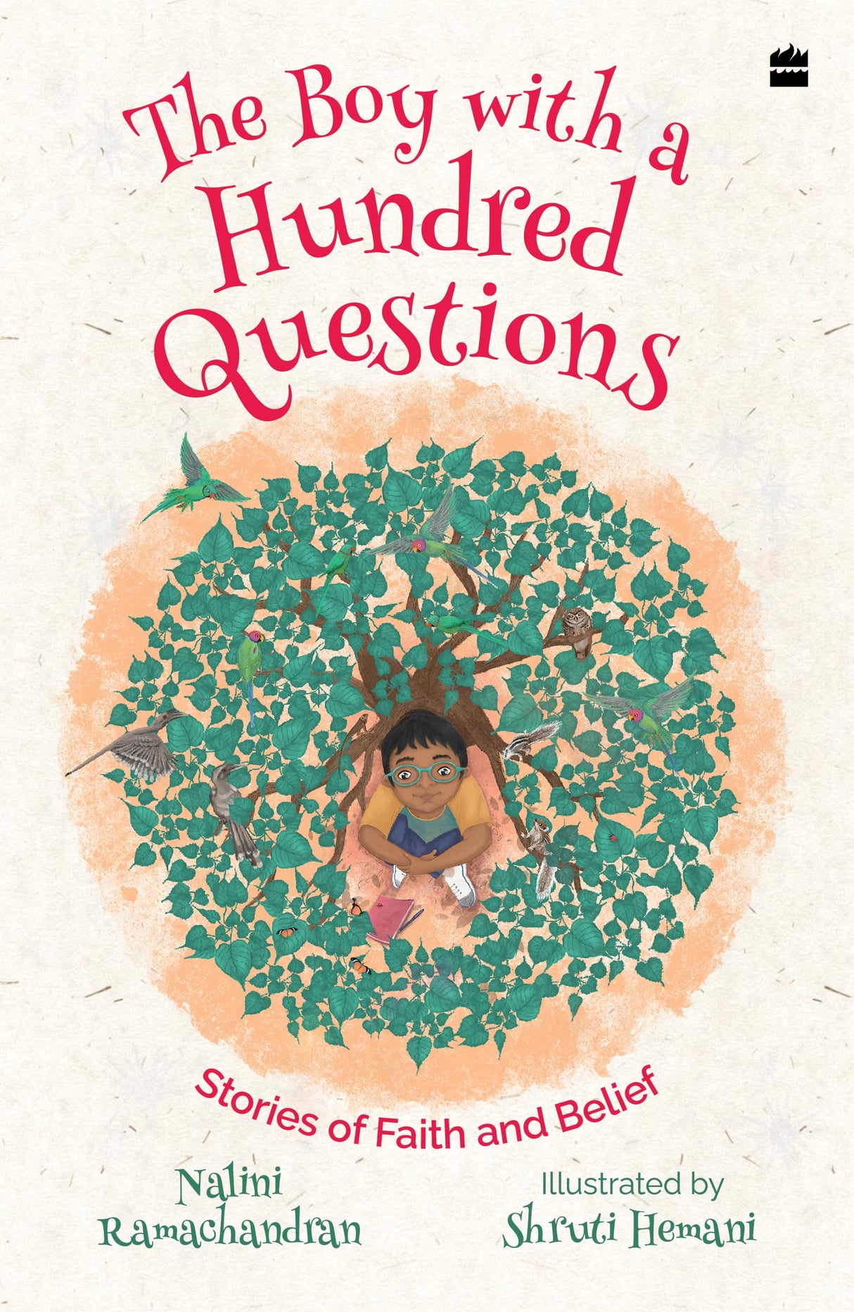 Boy With A Hundred Questions: Stories of Faith and Belief - Retail Maharaj