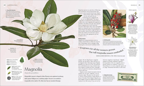 The Tree Book: The Stories, Science, and History of Trees - Retail Maharaj