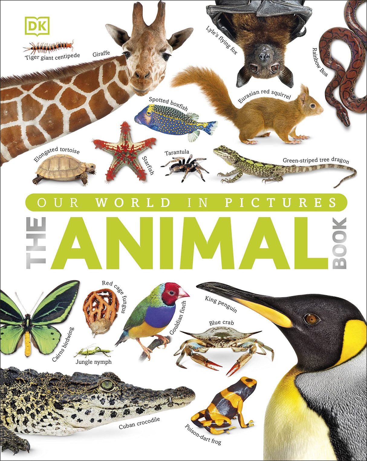 THE ANIMAL BOOK - Retail Maharaj